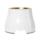 Elevated Dog Pet Bowl White Gold Stainless Steel