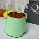 Elevated Dog Pet Bowl Mint Green Gold Stainless Steel