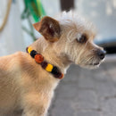 Pom Pom Collar Necklace - Dog & Cat Neck Collar Accessories