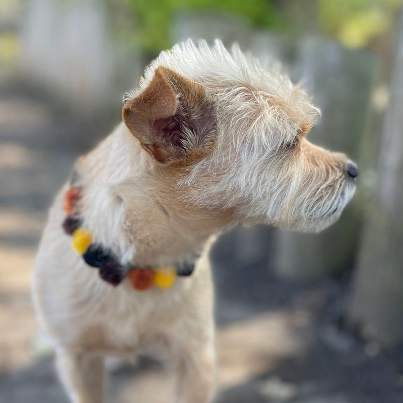 Pom Pom Collar Necklace - Dog & Cat Neck Collar Accessories