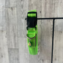Luminous Dog Collar with Charm - Ultra Bright, 3 Modes, Flashing, Waterproof, Increased Safety