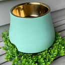 Elevated Dog Pet Bowl Mint Green Gold Stainless Steel