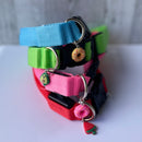 Luminous Dog Collar with Charm - Ultra Bright, 3 Modes, Flashing, Waterproof, Increased Safety