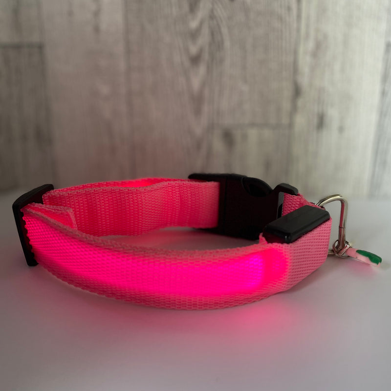 Luminous Dog Collar with Charm - Ultra Bright, 3 Modes, Flashing, Waterproof, Increased Safety
