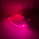 Luminous Dog Collar with Charm - Ultra Bright, 3 Modes, Flashing, Waterproof, Increased Safety