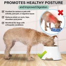 Elevated Dog Pet Bowl Black Gold Stainless Steel