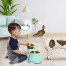 Elevated Dog Pet Bowl Mint Green Gold Stainless Steel
