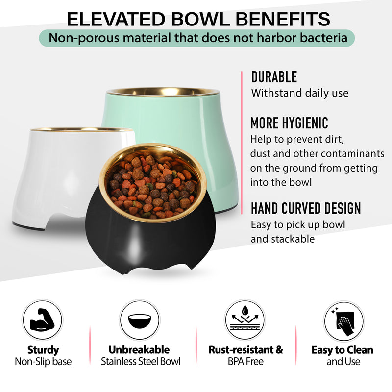 Elevated Dog Pet Bowl Black Gold Stainless Steel