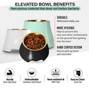 Dinner & Drinks Pet Bowl - Black - Gold Stainless Steel