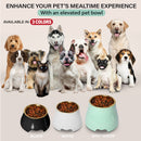 Elevated Dog Pet Bowl Black Gold Stainless Steel