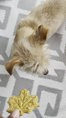 Healthy Homemade Dog Treats - Leaves - Pumpkin & Peanut Butter