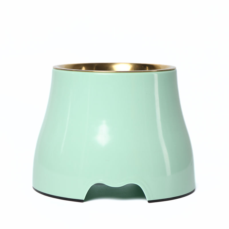 Elevated Dog Pet Bowl Mint Green Gold Stainless Steel