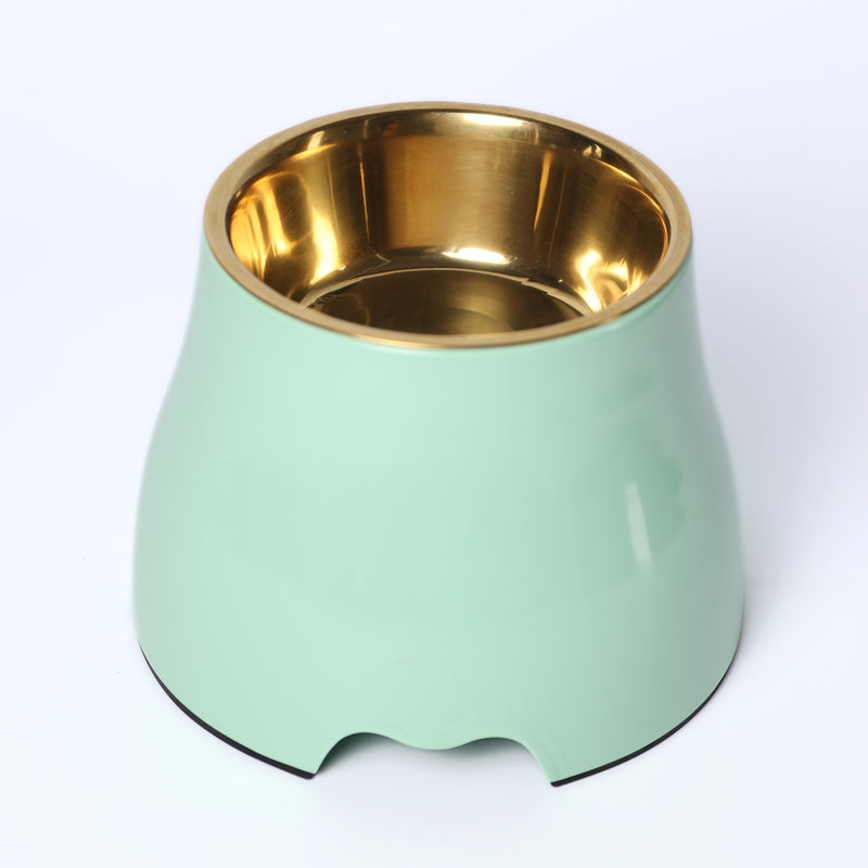 Elevated Dog Pet Bowl Mint Green Gold Stainless Steel