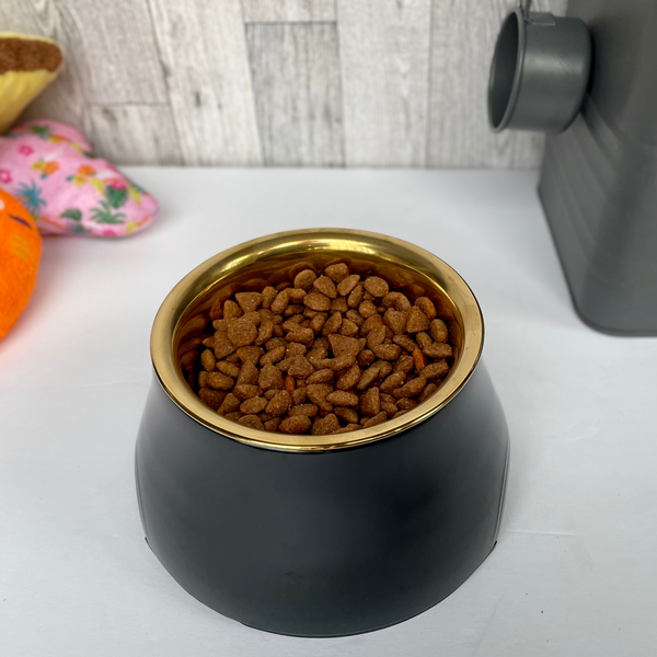 Elevated Dog Pet Bowl Black Gold Stainless Steel